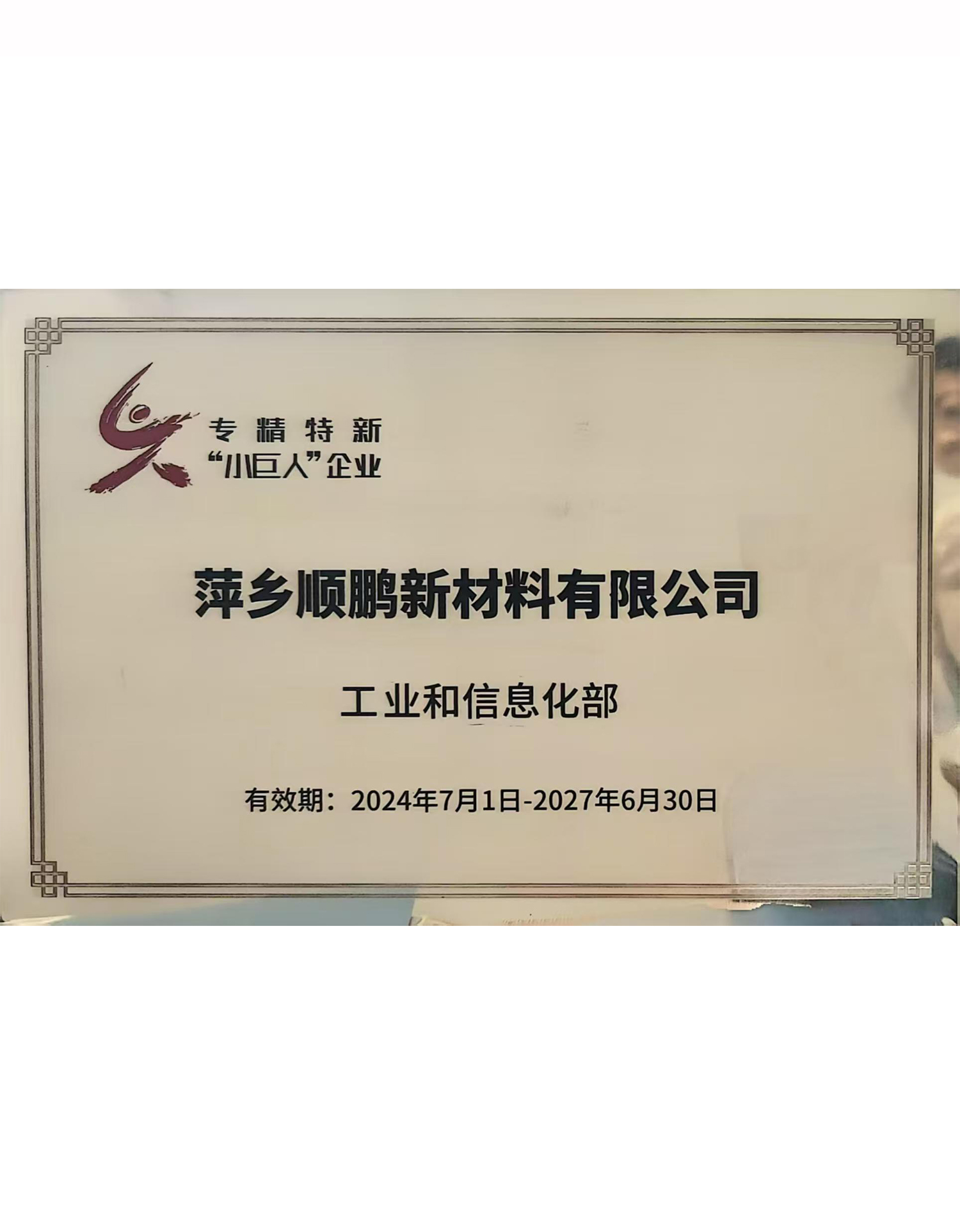 国家专精特新小巨人企业